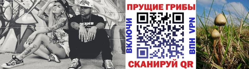 Псилоцибиновые грибы Psilocybine cubensis  Краснодар 