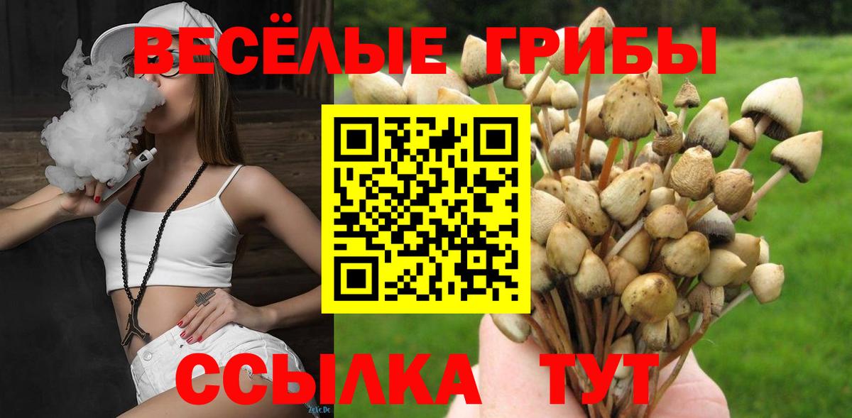 Галлюциногенные грибы MAGIC MUSHROOMS  Галлюциногенные грибы прущие грибы  Вход с VPN  Краснодар 