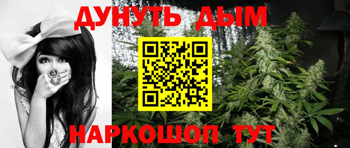 Шишки марихуана ГИДРОПОН  Каннабис семена  Канабис семена  Краснодар  Вход с VPN 